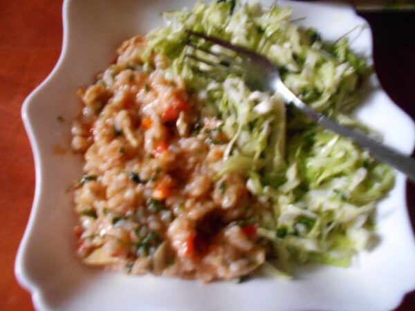 Orez integral cu salata de varza