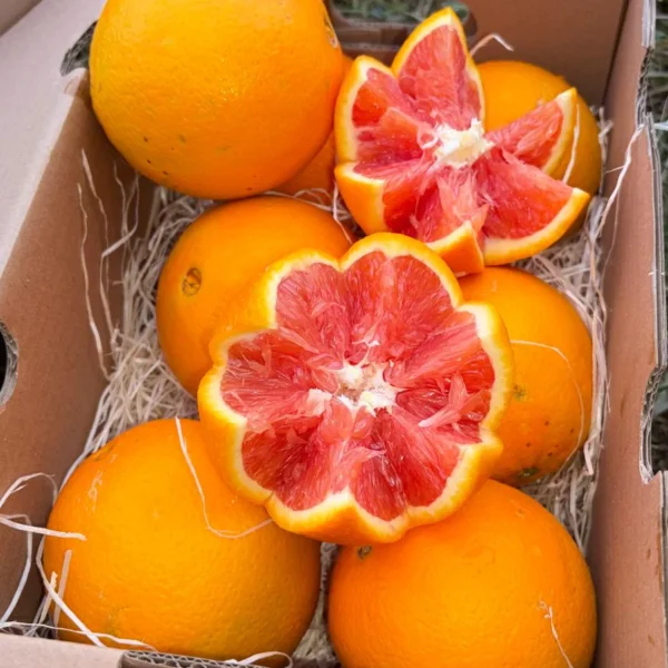 Portocale rosii eco si banane