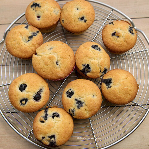 Briose cu ricotta și afine