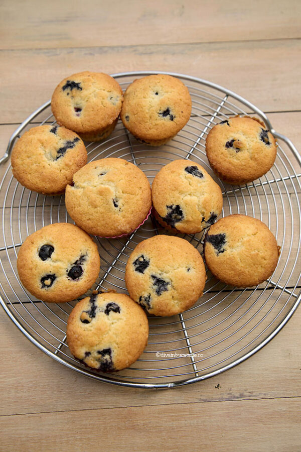 Briose cu ricotta și afine